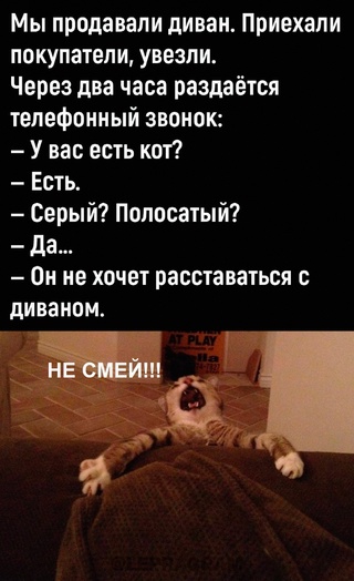 Картинки и мемы, выходные продолжаются