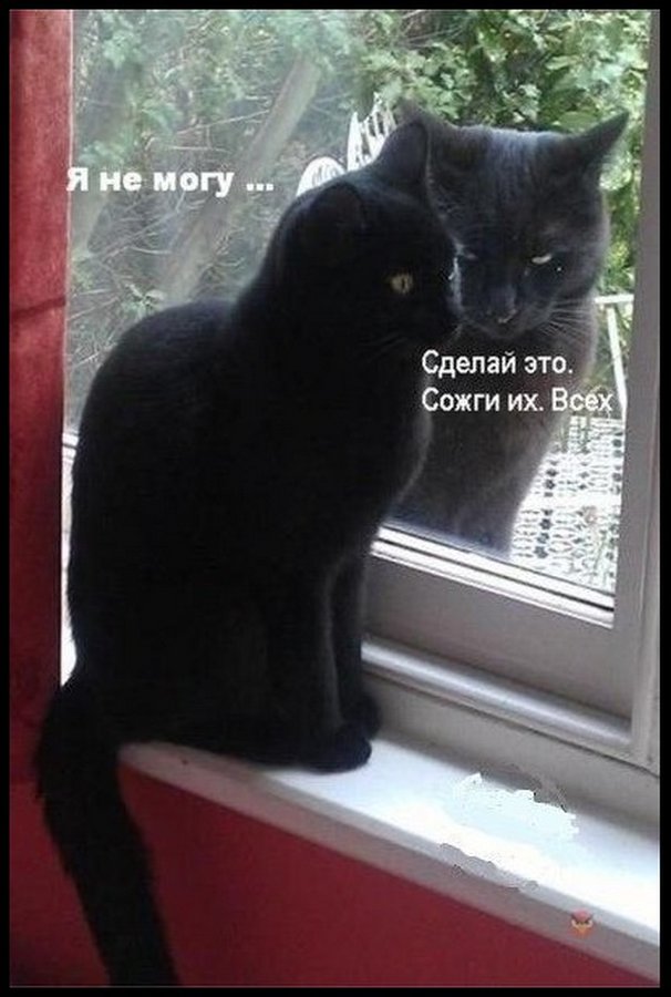 Картинки про всякое
