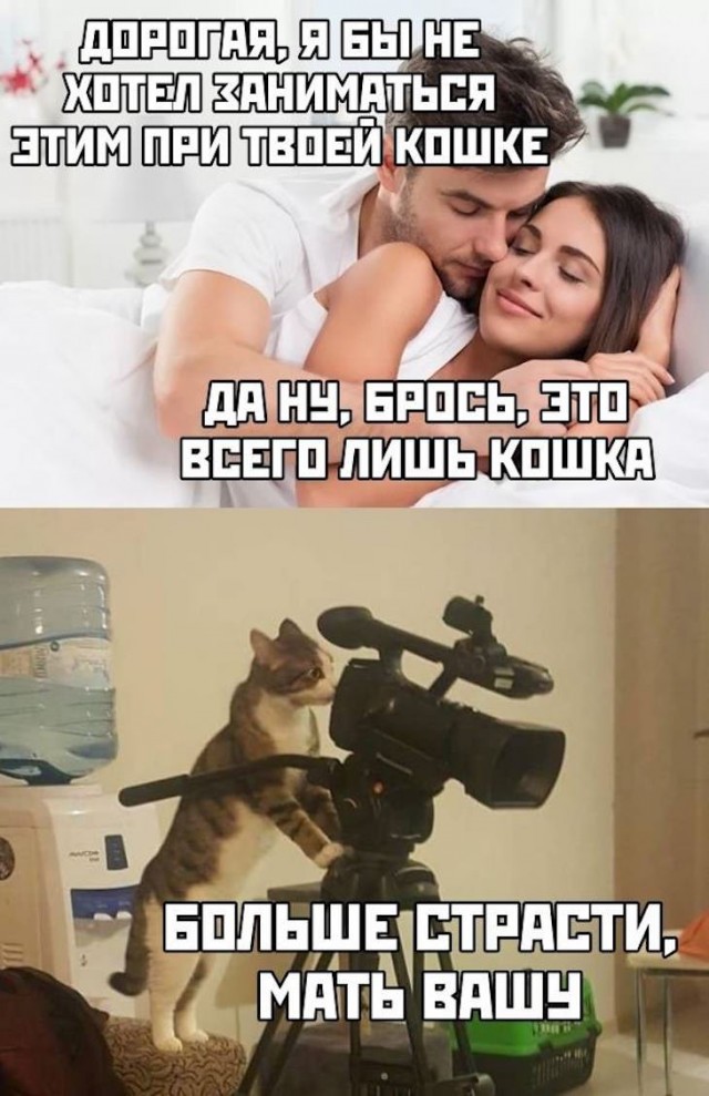 Шутки плоские, как грудь Киры Найтли