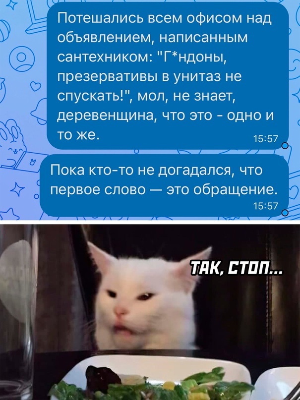 Весёлый полтишок 03.04.23