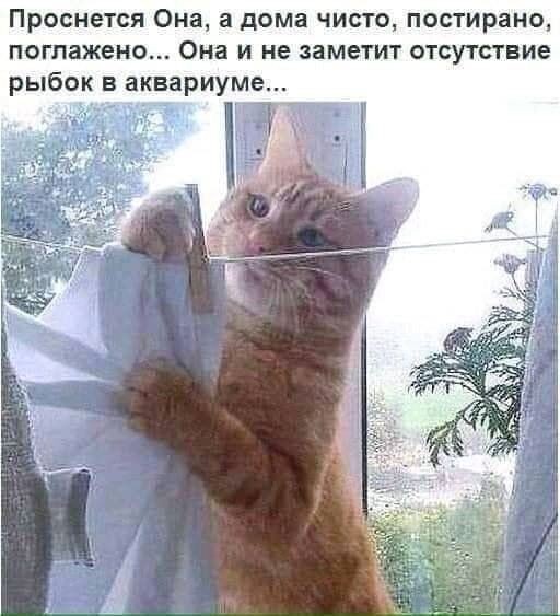 Электрика вызывали?