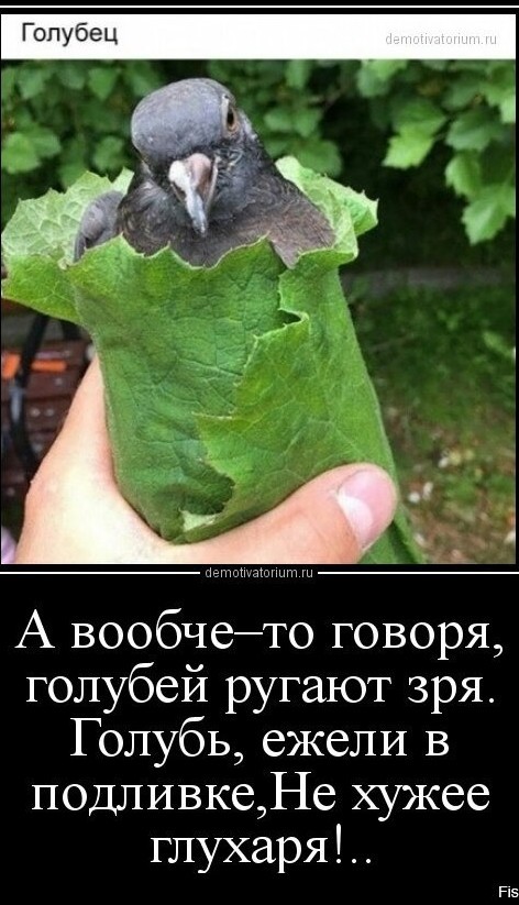 Голубцы всякие-разные