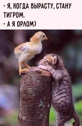 Уважаемые жильцы!