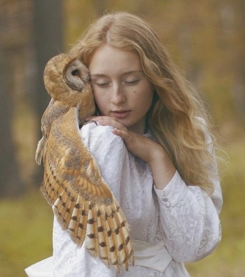 Картинки