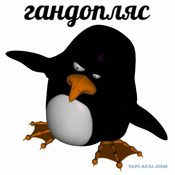 Мизулину с собакой Вовой не пустили на рейс в Красноярск