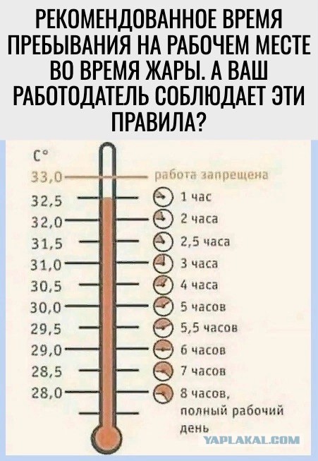 Так себе картинки 01.06.24