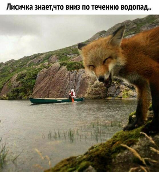 Никакие картинки