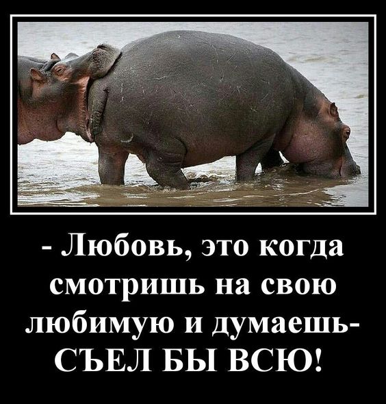 Прикольные и просто красивые картинки 21.06.2024