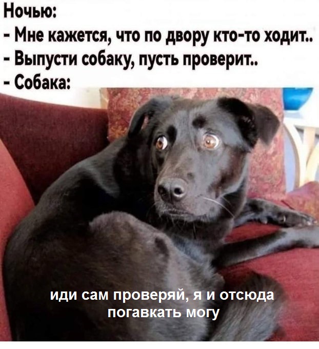 Заключительные баяны на этой неделе