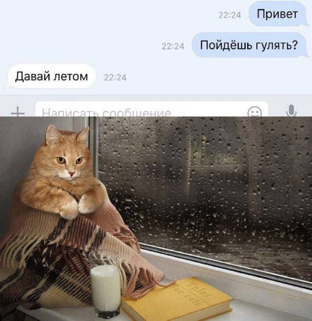 Картинки для деградации 134 (разной степени свежести)