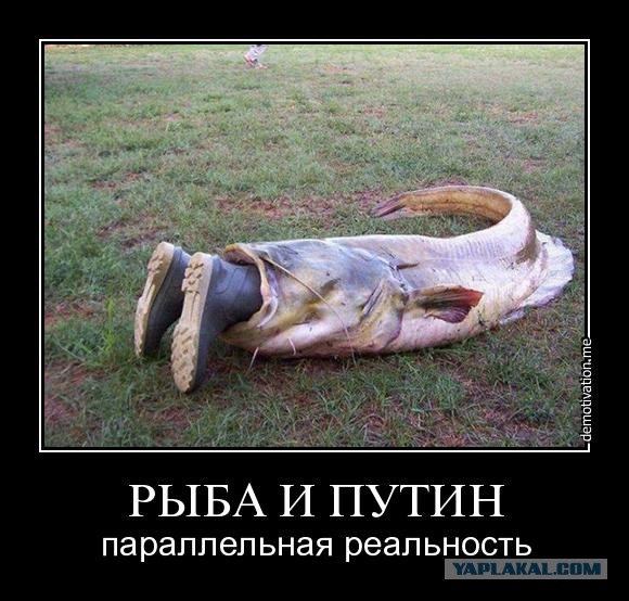 Путин и рыба