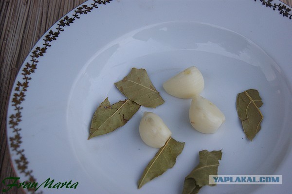 Холодец, С говядиной, свининой и курицей