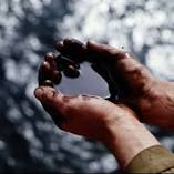 Черный волк