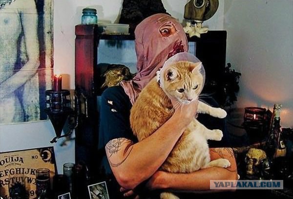 Байкерский котэ