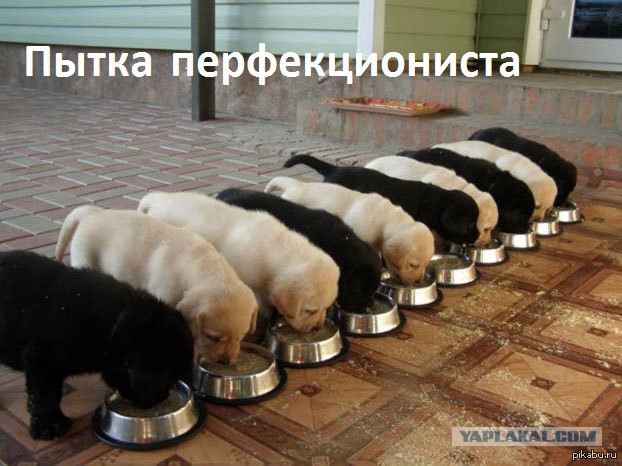 Рай перфекциониста.