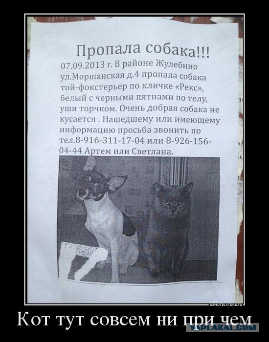 Где деньги?