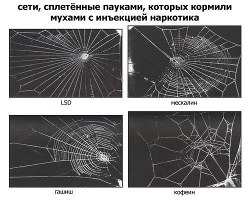 Нервный рукажоп