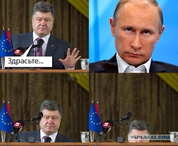 Началась встреча Путина и Порошенко.