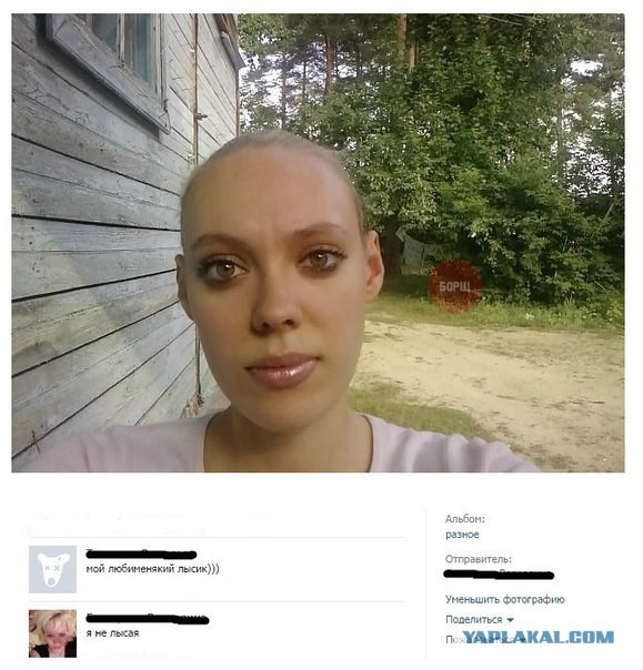 Смешные комменты из соцсетей