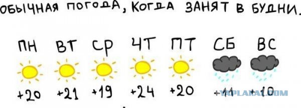 Подборка весёлых картинок