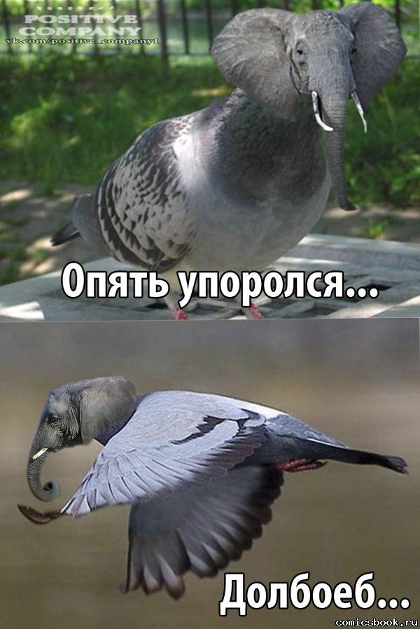 Алко-Нарко-Психо-Фармо и т.п. поборка