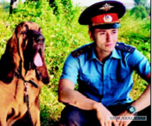 Годные сериалы прошлых лет