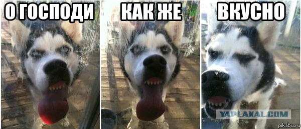 Копченые свиные ребрышки барбекю.