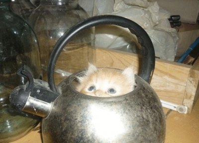 Фотоподборка очень удобных кастрюль