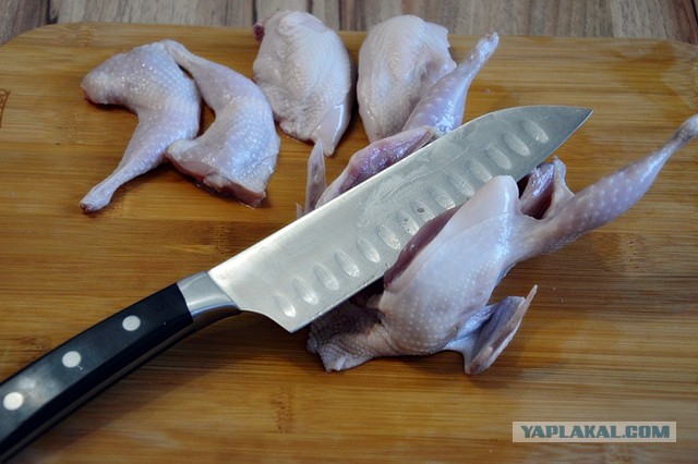 Голуби