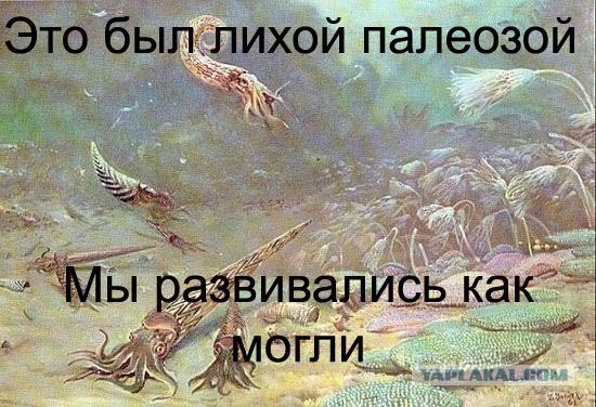 Школоте не понять