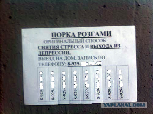 Фотоприколы