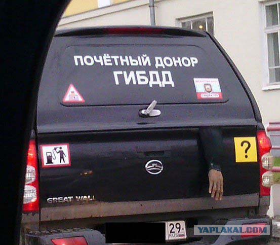 Немного картинок и демотиваторов