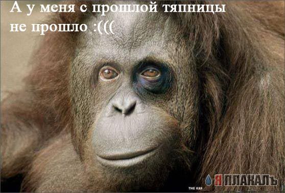 Уже да :) Ужо пятнецца...