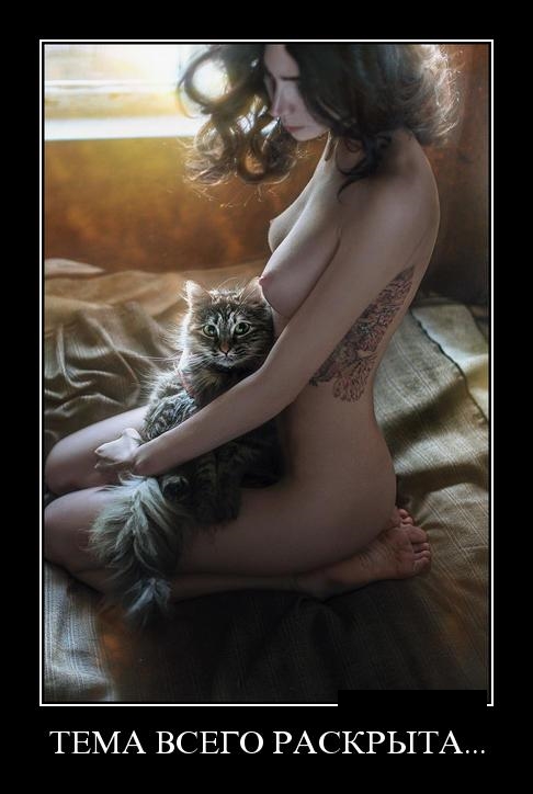 Немного юмора