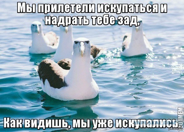 Wargaming 34