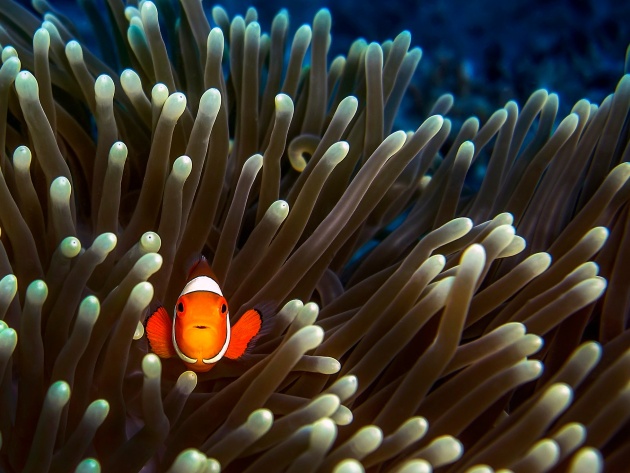 Подборка интересных и веселых фото