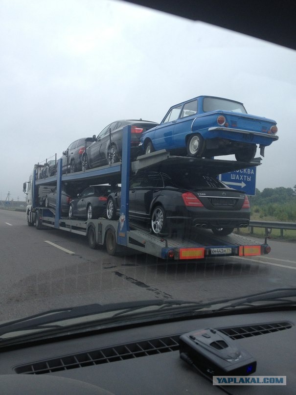 Интересные и веселые картинки