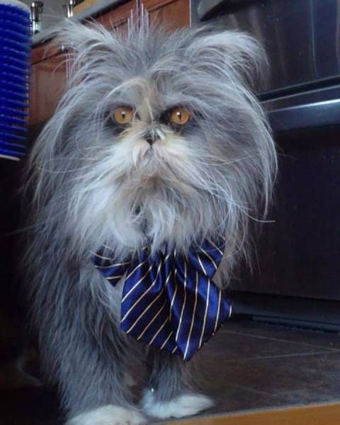 Подборка картинок