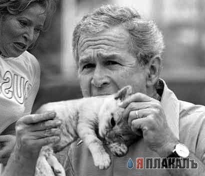 Фотожаба: Джорж Буш кошкоед