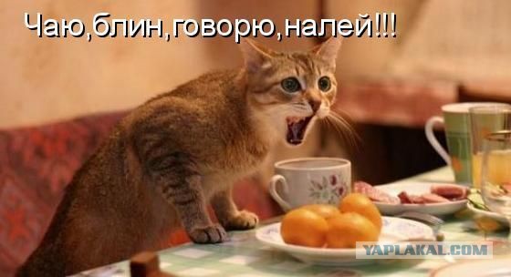 Юмор не для всех