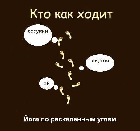 Фотожаба: Кто как ходит