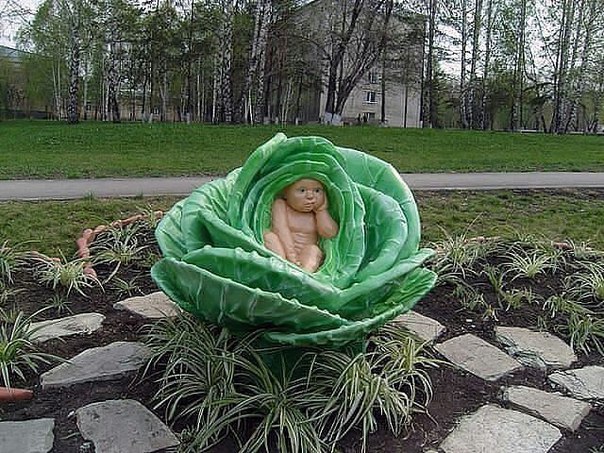 Немного картинок и гифок.