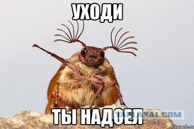 Подслушано