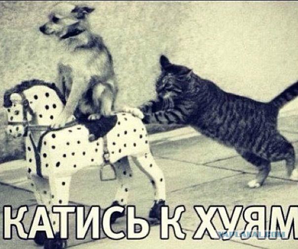 Прямая линия с Григорием Явлинским
