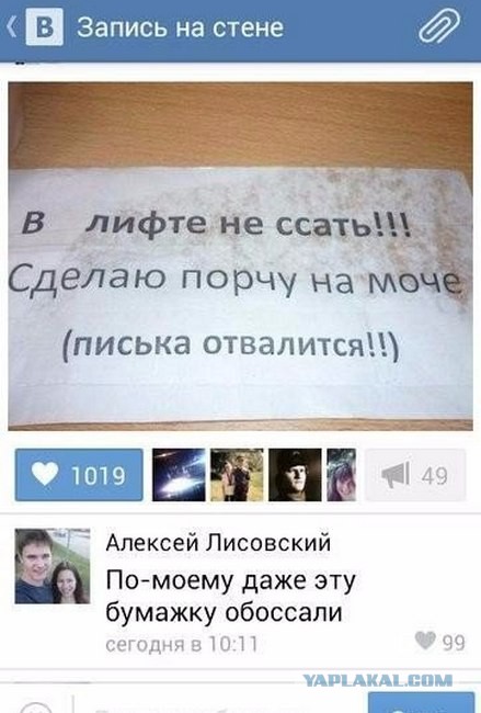 Ужасы и приколы из соцсетей 18+