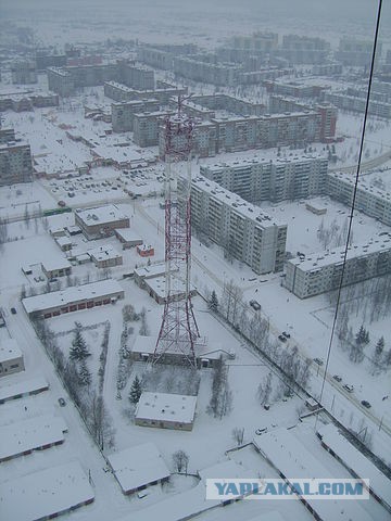 Негостеприимный петербуржец перерезал тросы промышленному альпинисту