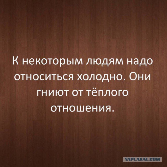 Все друг друга поняли (Смехопанорама)