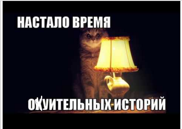 Бешеные бабки