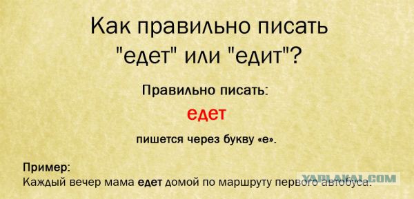 Учесть или участь как пишется