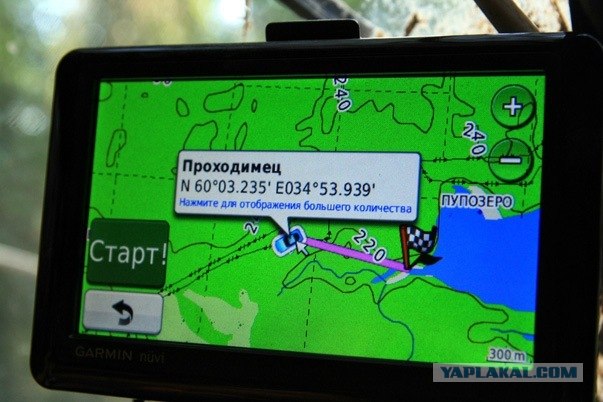 Проходимцы Веппского леса